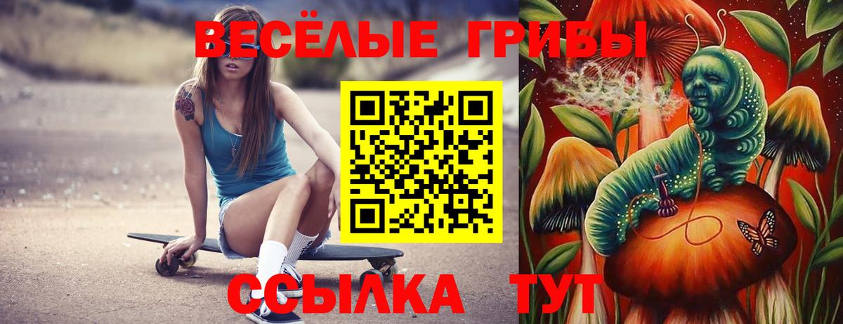 Псилоцибиновые грибы Magic Shrooms  Псилоцибиновые грибы прущие грибы  Гай  дарнет шоп  Вход с VPN 